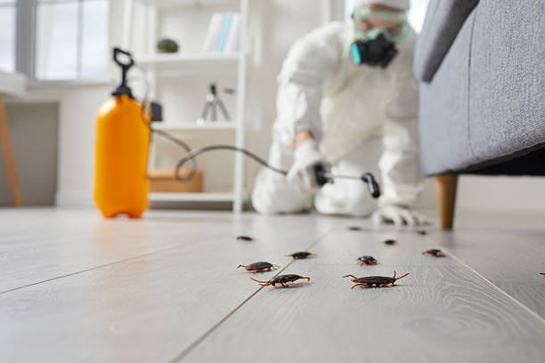 Commercial Kitchen Cockroach Control in Nowata